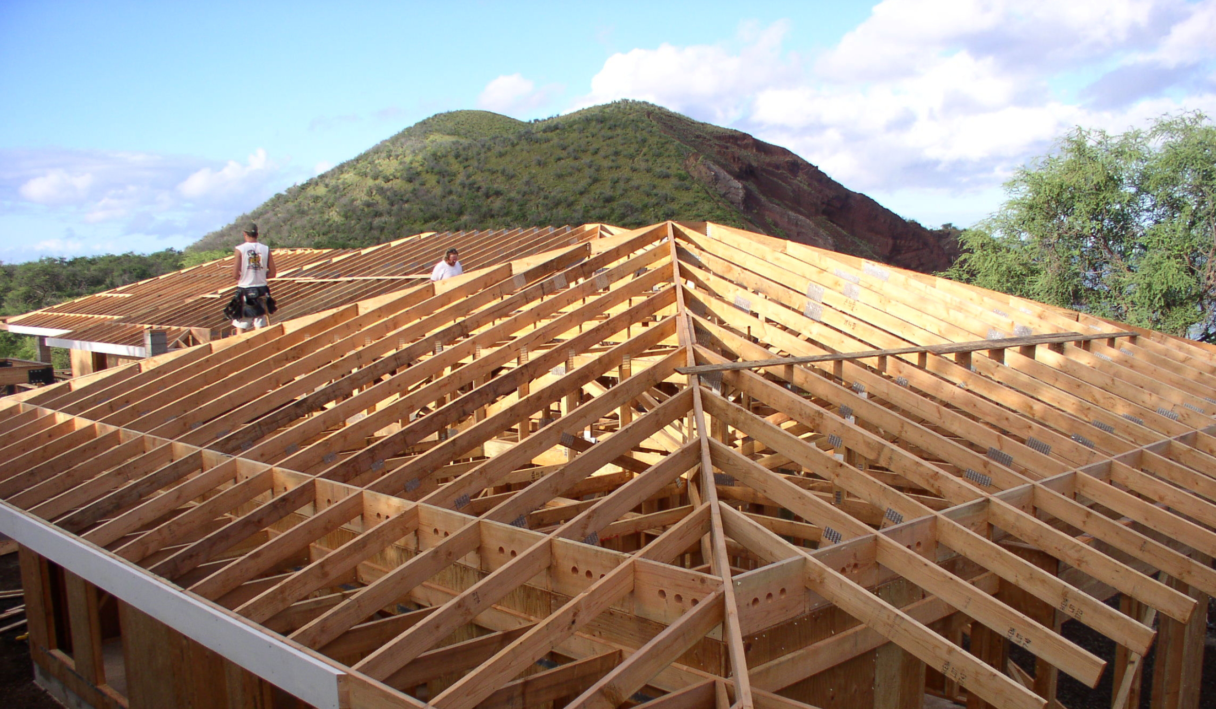 Types Of Timber Roof Trusses Image To U